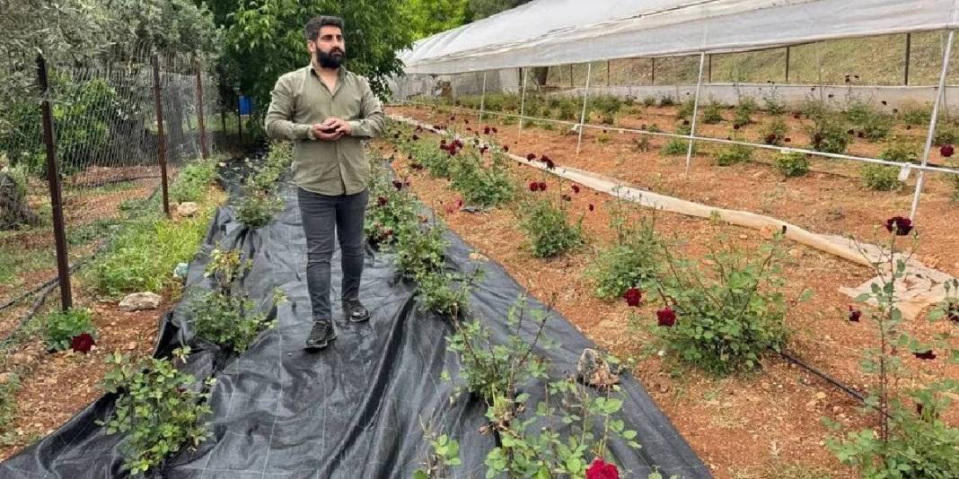 Dünyada nadir, Türkiye’de ise sadece Şanlıurfa’da bulunuyor! Herkes onun peşinde: Nadide bitkinin hasadına başlandı 5